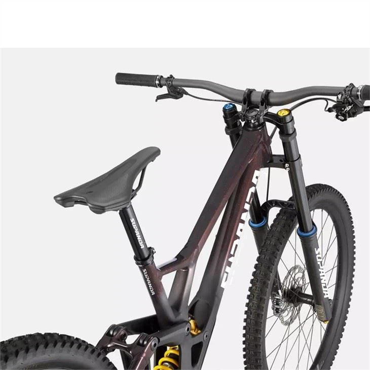 women's downhill mountain bike5
