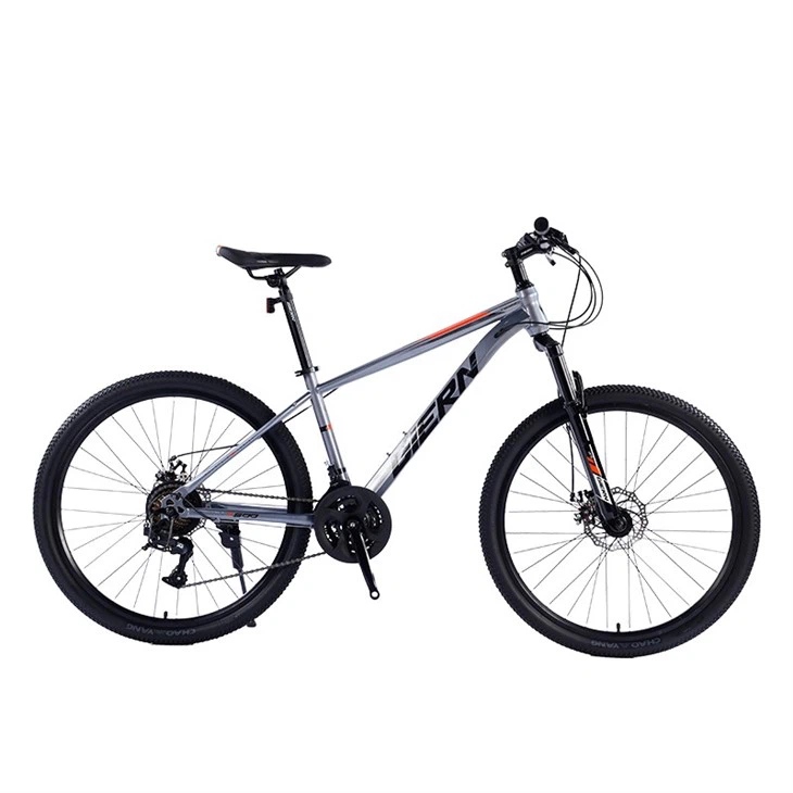 Hardtail Race Bike